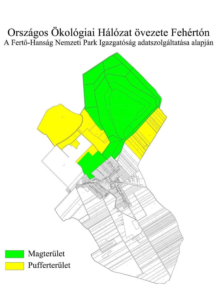 TERMÉSZETI ÖRÖKSÉG Fehértó belterületétől északra fekvő területek a Fertő- Hanság Nemzeti Park részei.