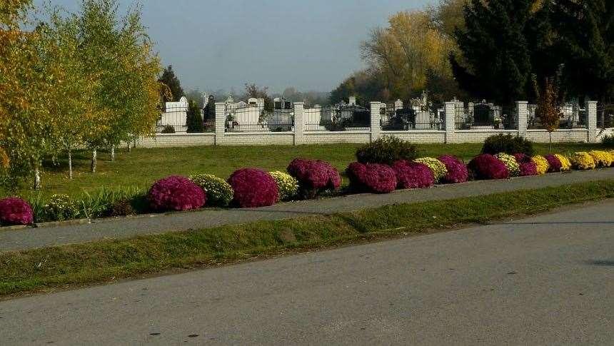 Tudva, hogy bizonyos alkalmakhoz, ételekhez jobban illik a vörös, mondhatjuk, hogy mi a rozét
