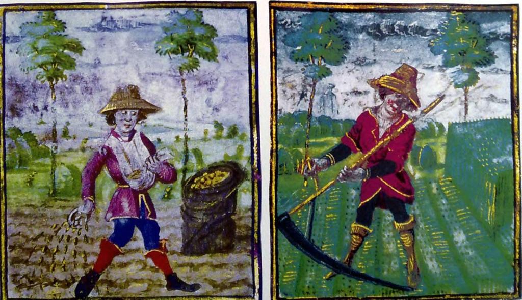 AZ UTOLSÓ ÉVEK: KIRÁLY ÉS CSÁSZÁR (1431-1437) Az erdélyi parasztfelkelés (1437-1438) Mezőgazdasági munkák. Miniatúrák a Flamand kalendáriumból, 15.