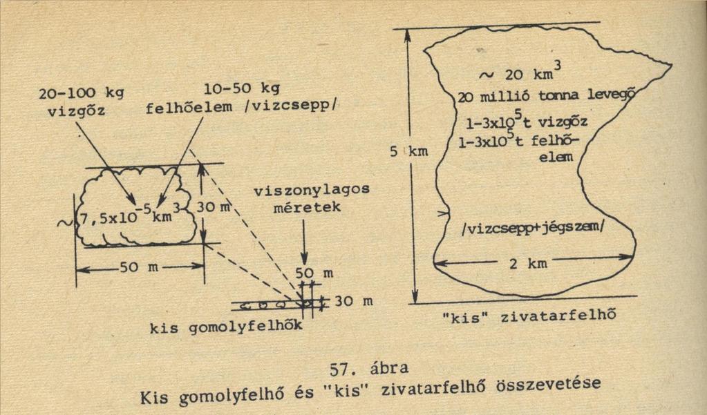 KIS GOMOLYFELHŐ