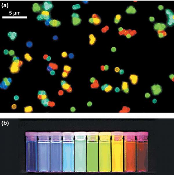 fluoreszcenciamikroszkópos képe A kvantumpöttyök mérete határozza meg az emittált fluoreszcencia