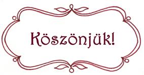 a Hargita Megyei Tanács által kiírt pályázaton szereztek be.