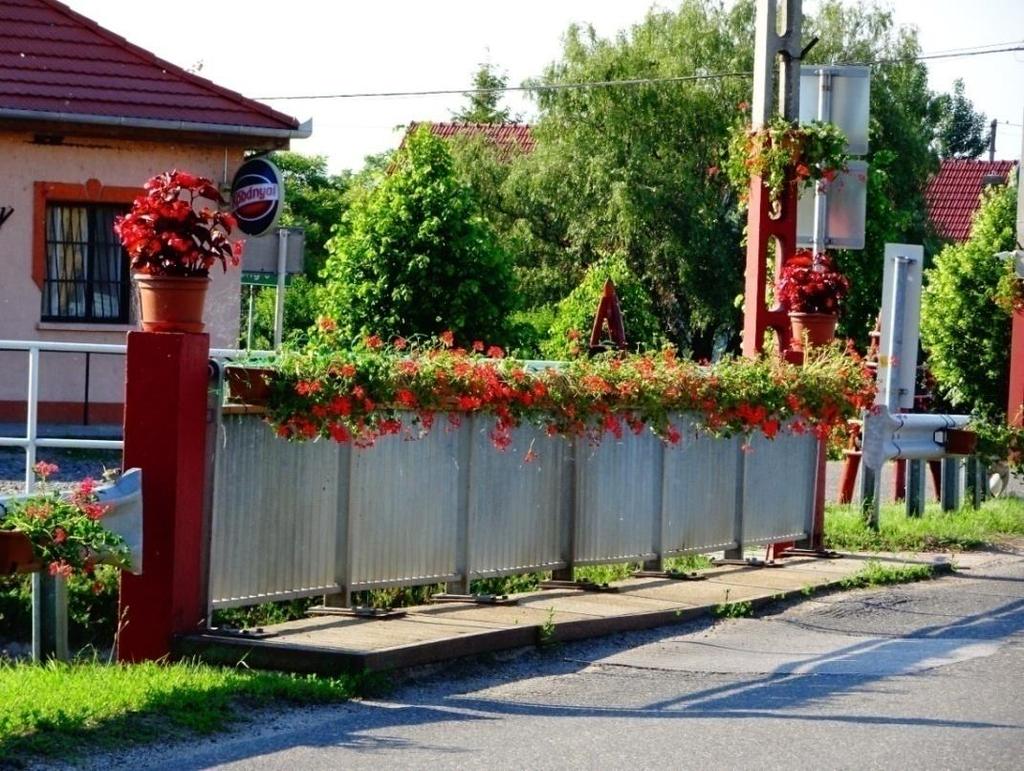 növényritkaságok ültetésével színpompássá teszi az utcaképet.