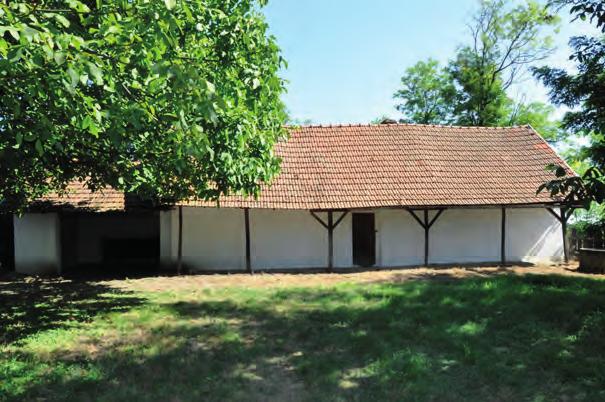 Táji és természeti értékek Hársfa