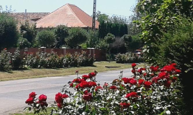 szegélykövek alkalmazásával) szintén jelentős javulást eredményezhet. A település utcái vezetik a tekintetet, felfűzik a települést alkotó elemeket, ezért harmonikus, egységes kialakításuk fontos.