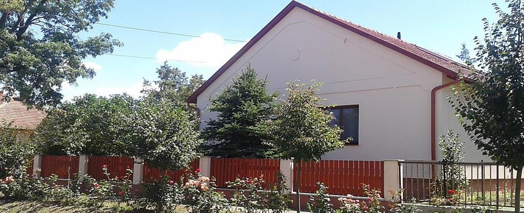 KERÍTÉSEK Az új építésű részeken változatos anyaghasználattal találkozunk kő tartóoszloptól kezdve a tégláig,