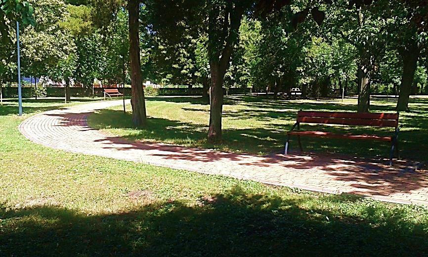 A jól megválasztott térkő forma és szín, ezek fásításhoz viszonyított