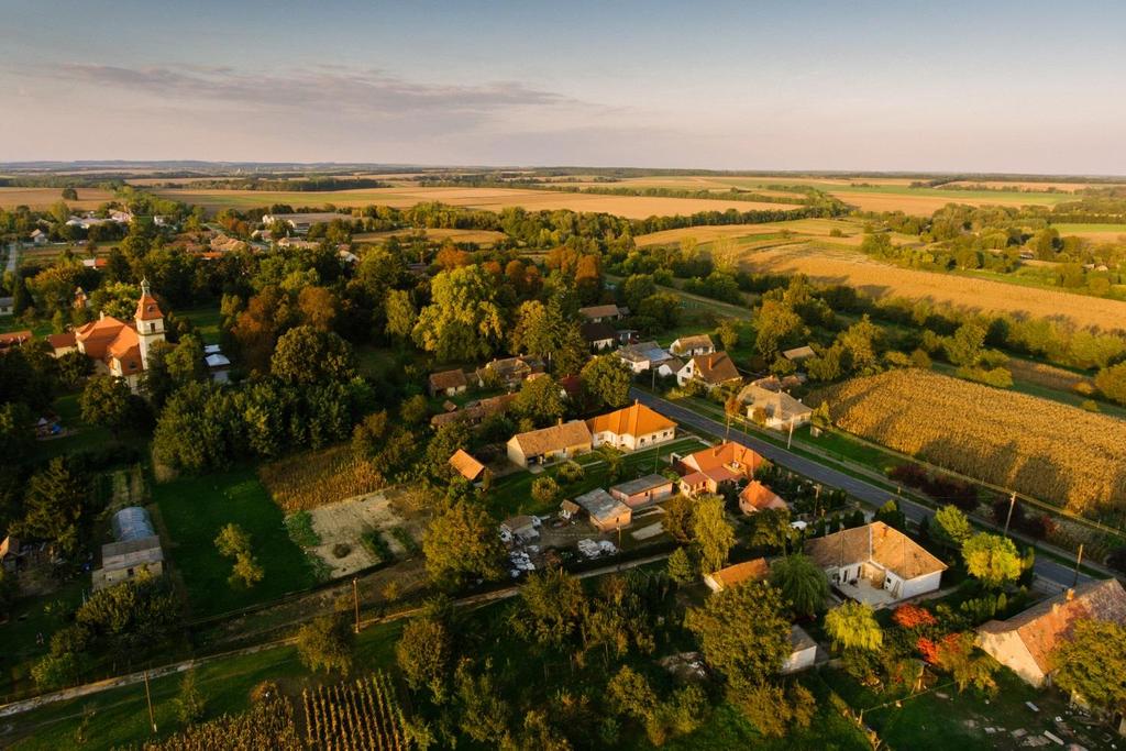 6 Bevezetés Osztopán címere Osztopán község címere álló, csücskös talpú pajzs, melynek vörös mezejében lebegtetett, zöld levelű és szárú kék szőlőfürt, melyet két, alul keresztbe tett szárú, arany