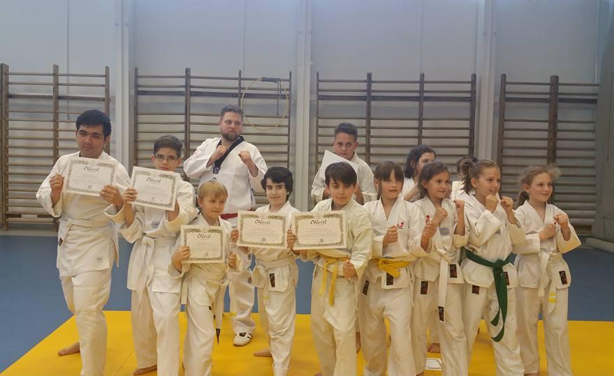 Taekwondo A Taekwondo több mint 2000 éves múltra visszatekintő koreai eredetű harcművészet. A kialakulására hatást gyakoroltak mind a japán, mind a kínai harcművészetek.