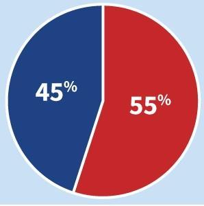 A GDPR felkészülési projekt összetétele 45% IT