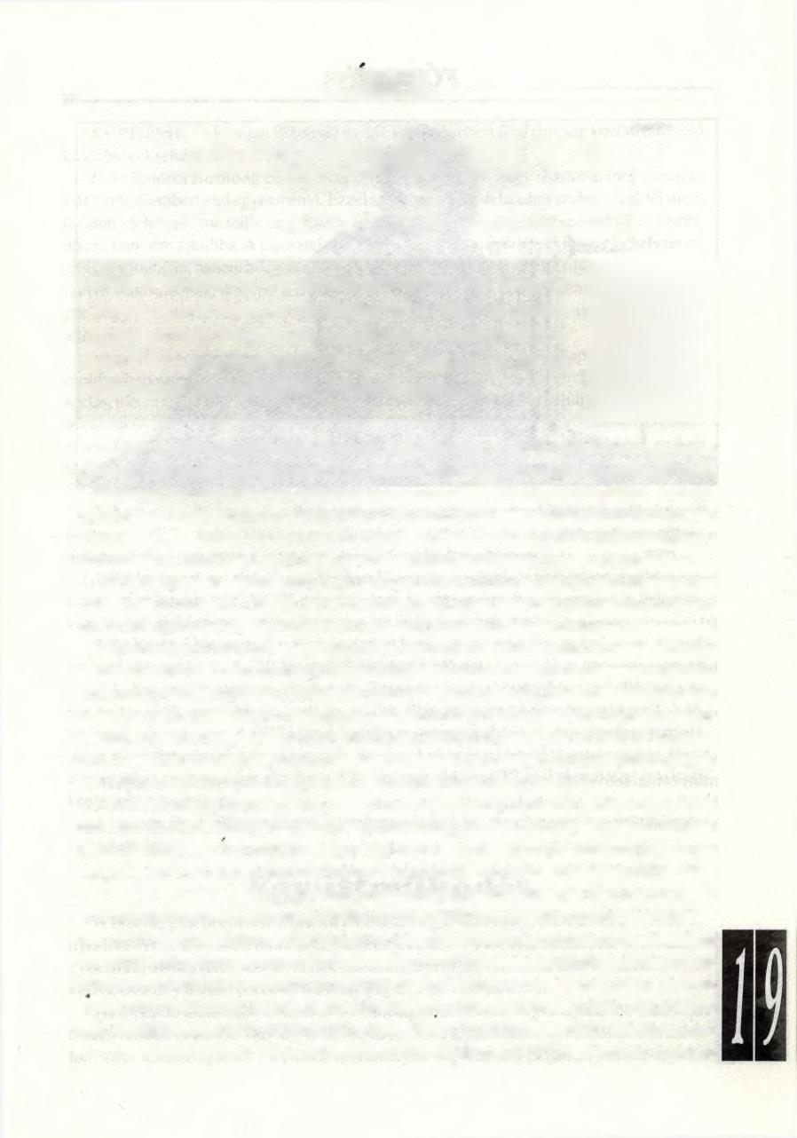 Megméretve A CPT-látogatás tanulságai 1994. november 1-14. között tett látogatást Magyarországon a Kínzás és az embertelen vagy megalázó büntetés vagy bánásmód megelőzésére alakult bizottság (CPT).