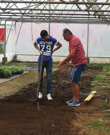 ACSAI DÁVID, SZOBAFESTŐ Több szakmában is szerezhettem rész szakképesítést az elmúlt években és egyúttal több lehetőséget kaptam arra, hogy munkába álljak.