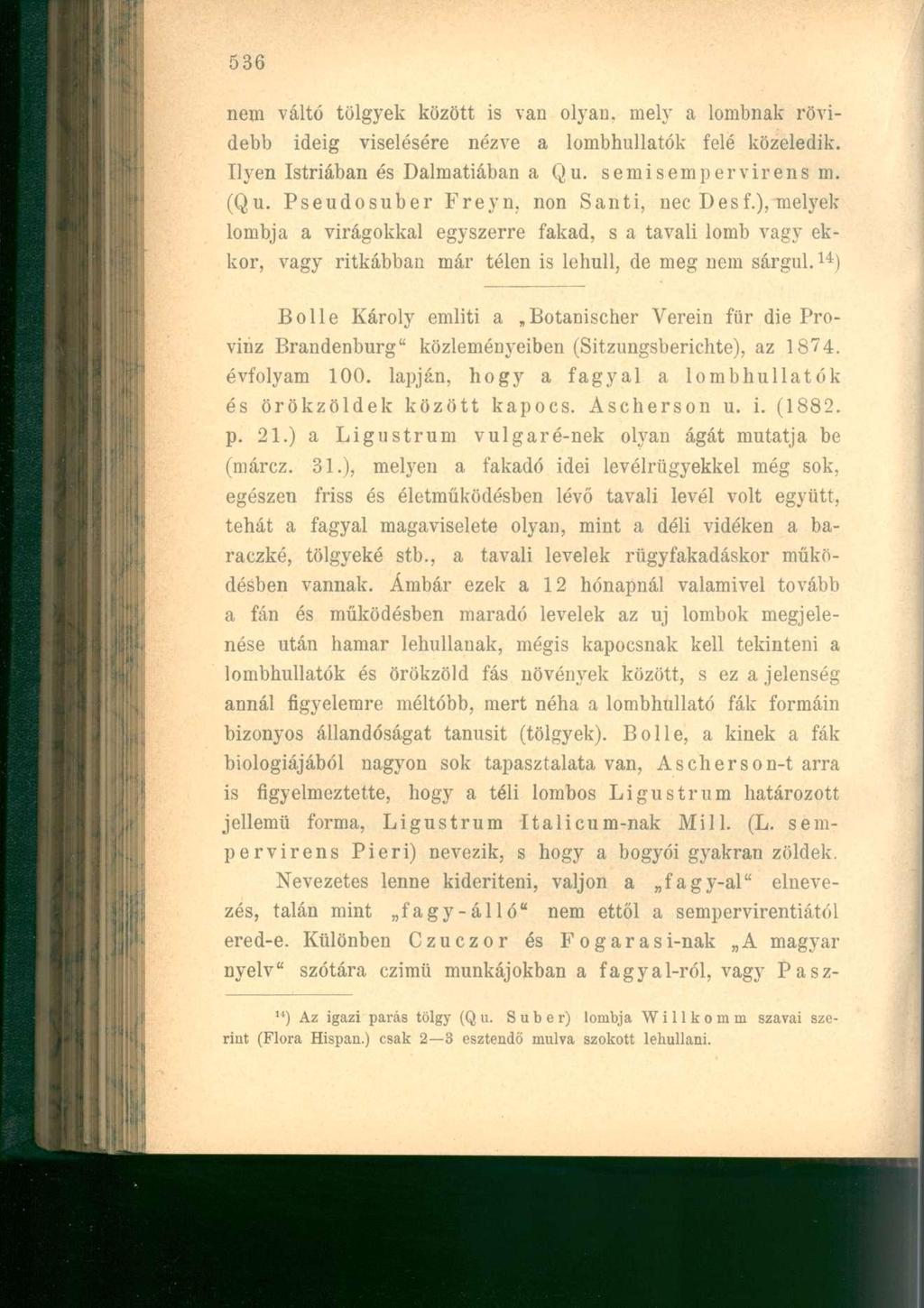 nem váltó tölgyek között is van olyan, mely a lombnak rövidebb ideig viselésére nézve a lombhullatók felé közeledik. Ilyen Istriában és Dalmatiában a Qu. semisempervirensm. (Qu. Pseudosuber Freyn.