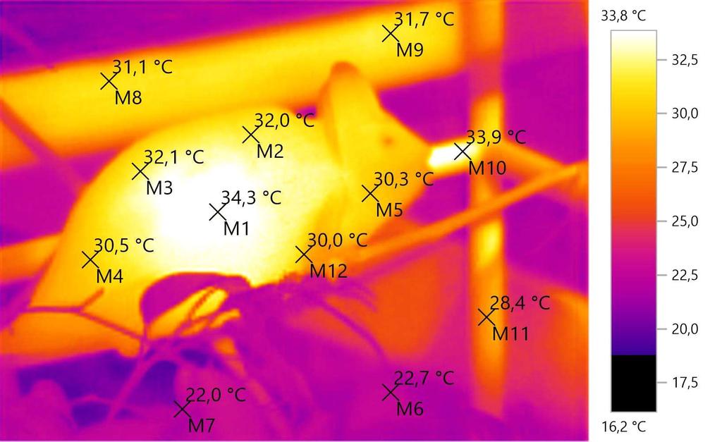 Kaméleonok hőháztartása Hősugárzás A fizikában három különböző hőszállítási módot különböztetünk meg: Hővezetés, hőátadás és a hősugárzás.