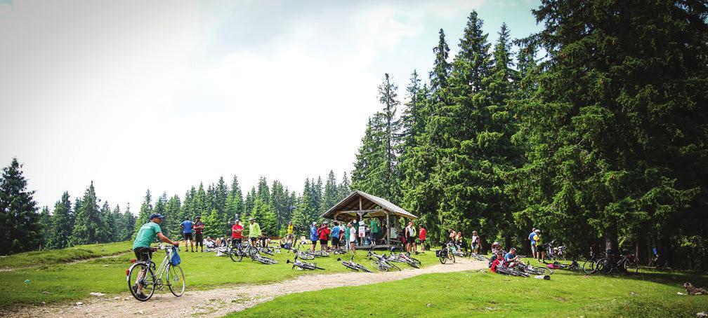 Ezt követően, Havasnagyfalut elhagyva, egy nagy tisztásra érünk (1327 m tszfm.