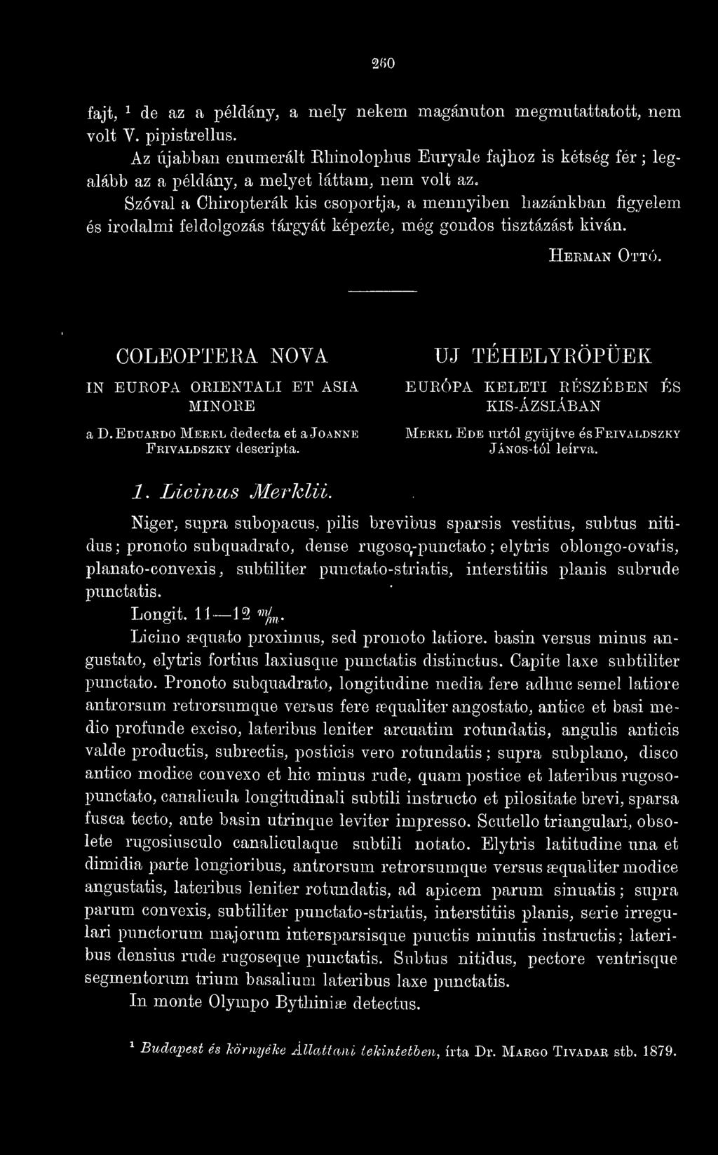 Szóval a Chiropterák kis csoportja, a mennyiben hazánkban figyelem és irodalmi feldolgozás tárgyát képezte, még gondos tisztázást kivan. Heeman Ottó.