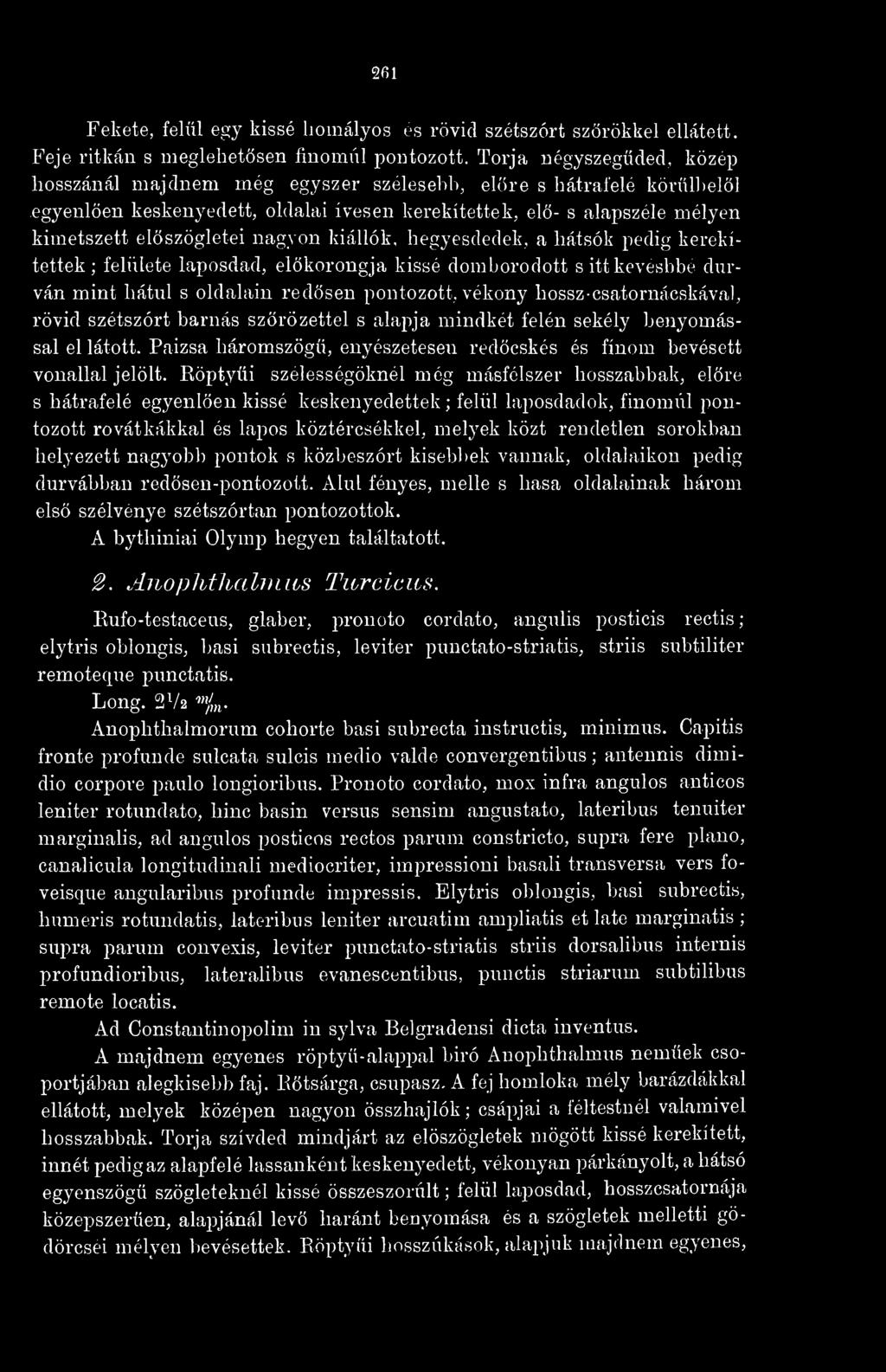 egyenlen keskenyedett, oldalai ívesen kerekítettek, el- s alapszéle mélyen kimetszett elöszögletei nagyon kiállók, hegyesdedek, a hátsók pedig kerekítettek ; felülete laposdad, elkorongja kissé