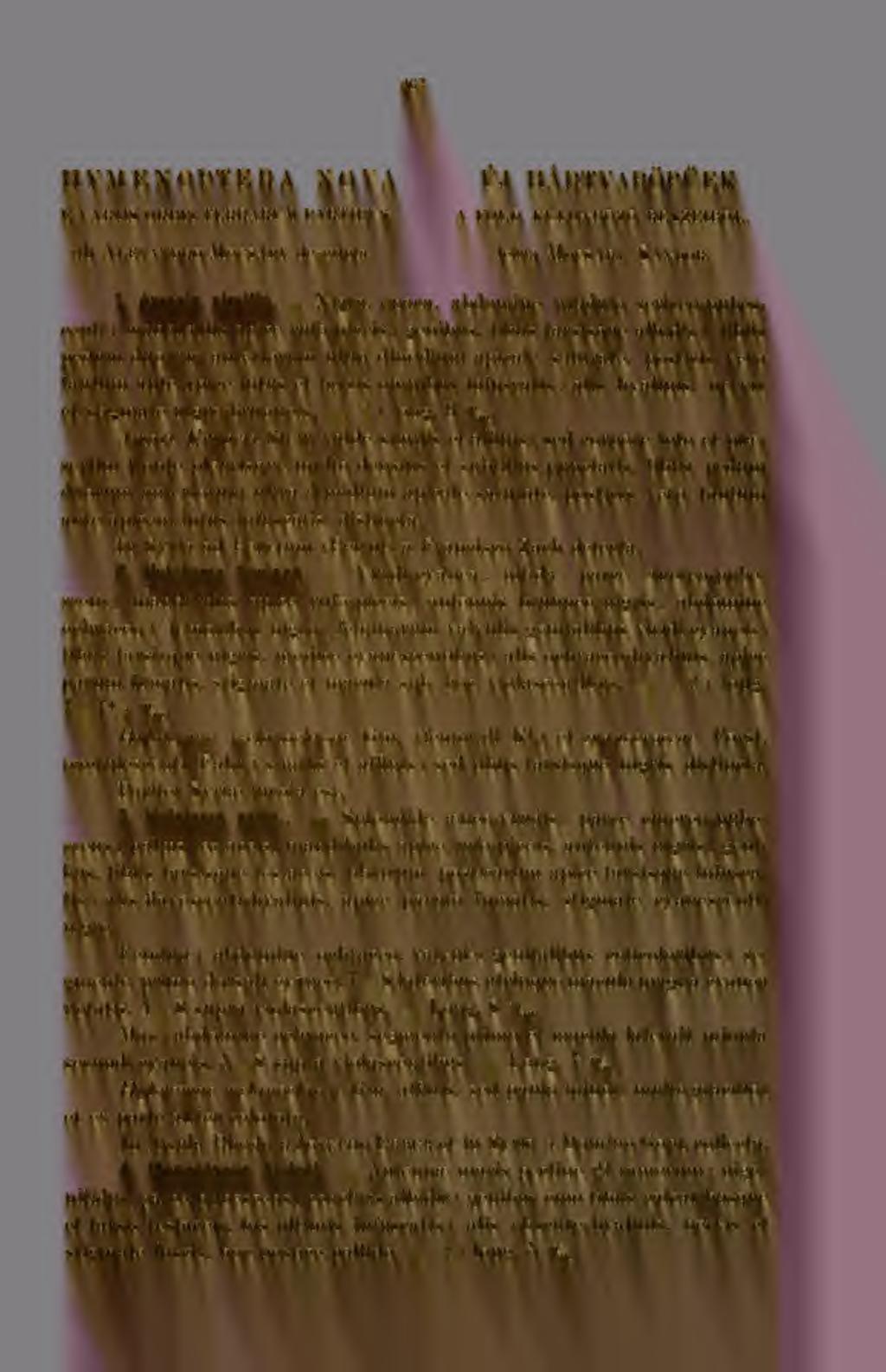 267 HYMEN OPTE RA NOVA E VAEIIS ORBIS TEßRARUM PARTIBUS, al) AlexaNDRO MocSÁRY descripta, UJ HARTYARÖPEK A FÖLD KÜLÖNBÖZ RÉSZEIBL, leírta MocsÁRY SÁNDOR. 1. Amasis similis.