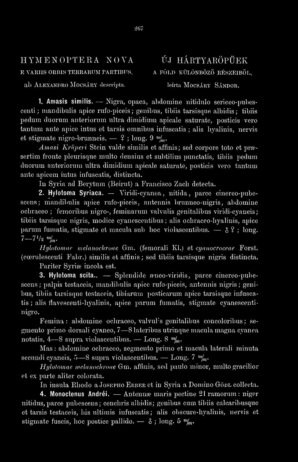 tantum ante apice intus et tarsis omnibus infuscatis ; alis hyalinis, nervis et stigmate nigro-brunneis.? ; long. 9 '"/,.