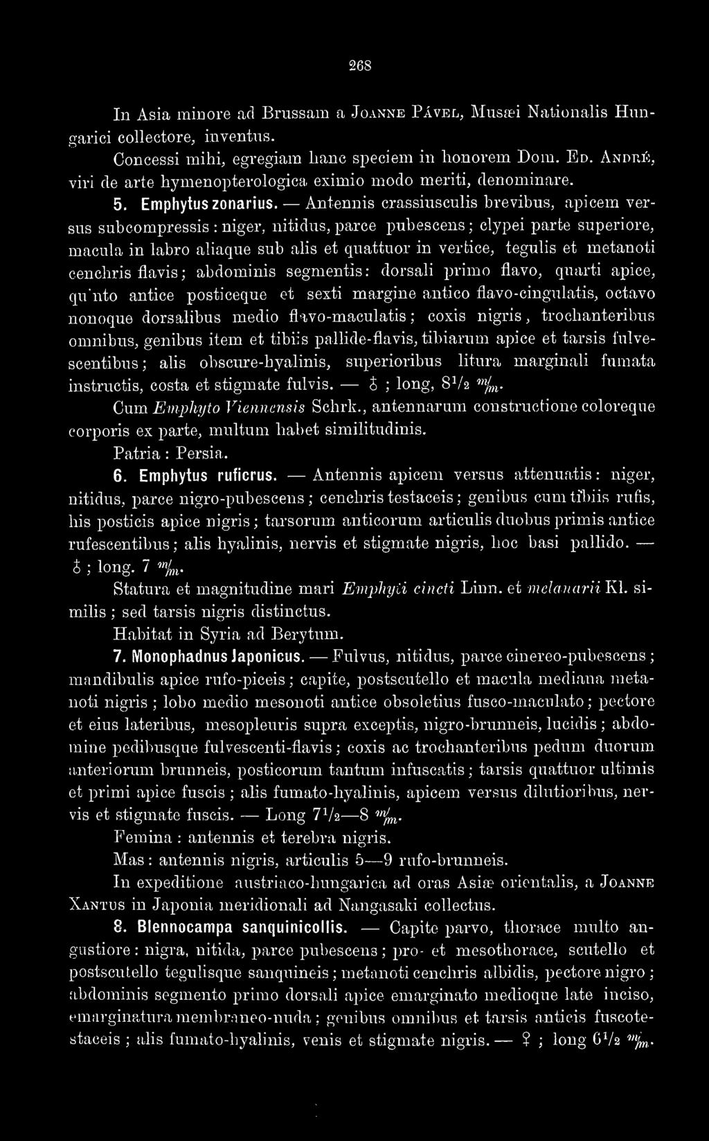 Antennis crassiusculis brevibus, apicem versus subcompressis : niger, nitidus, parce pubescens; clypei parte superiore, macubi in labro abaque sub alis et quattuor in verfcice, tegubs et metanoti