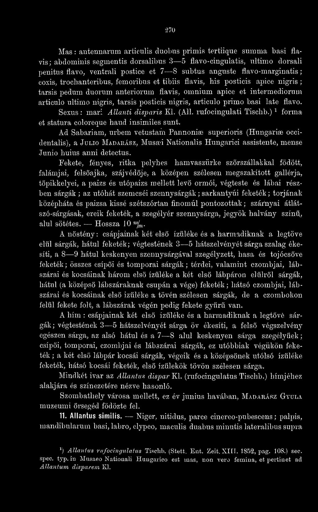 tarsis posticis nigris, articulo primo basi late flavo. Sexus : mar: Allanti disparis Kl. (All. rufocingulati Tischb.) ^ forma et statura coloreque hand insimiles sunt.