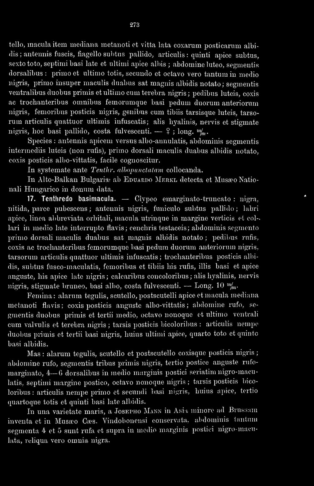 ventralibus duobus primis et ultimo cum terebra nigris ; pedibus luteis, coxis ac trochanteribus omnibus femorumque basi pedum duorum anteriorum nigris, femoribus posticis nigris, genibus cum tibiis