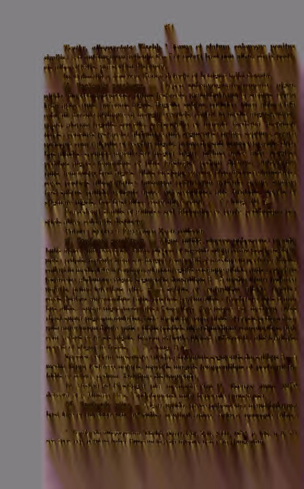 5 57.Í Tenthr. alhopunciatae Tisclih. forma ^ et statnra coloreqiie penitns similis; sed autenuarum articulis G 7 et oetavi liasi non albis, coxis posticis albo-vittatis, pra'sertim distincta.