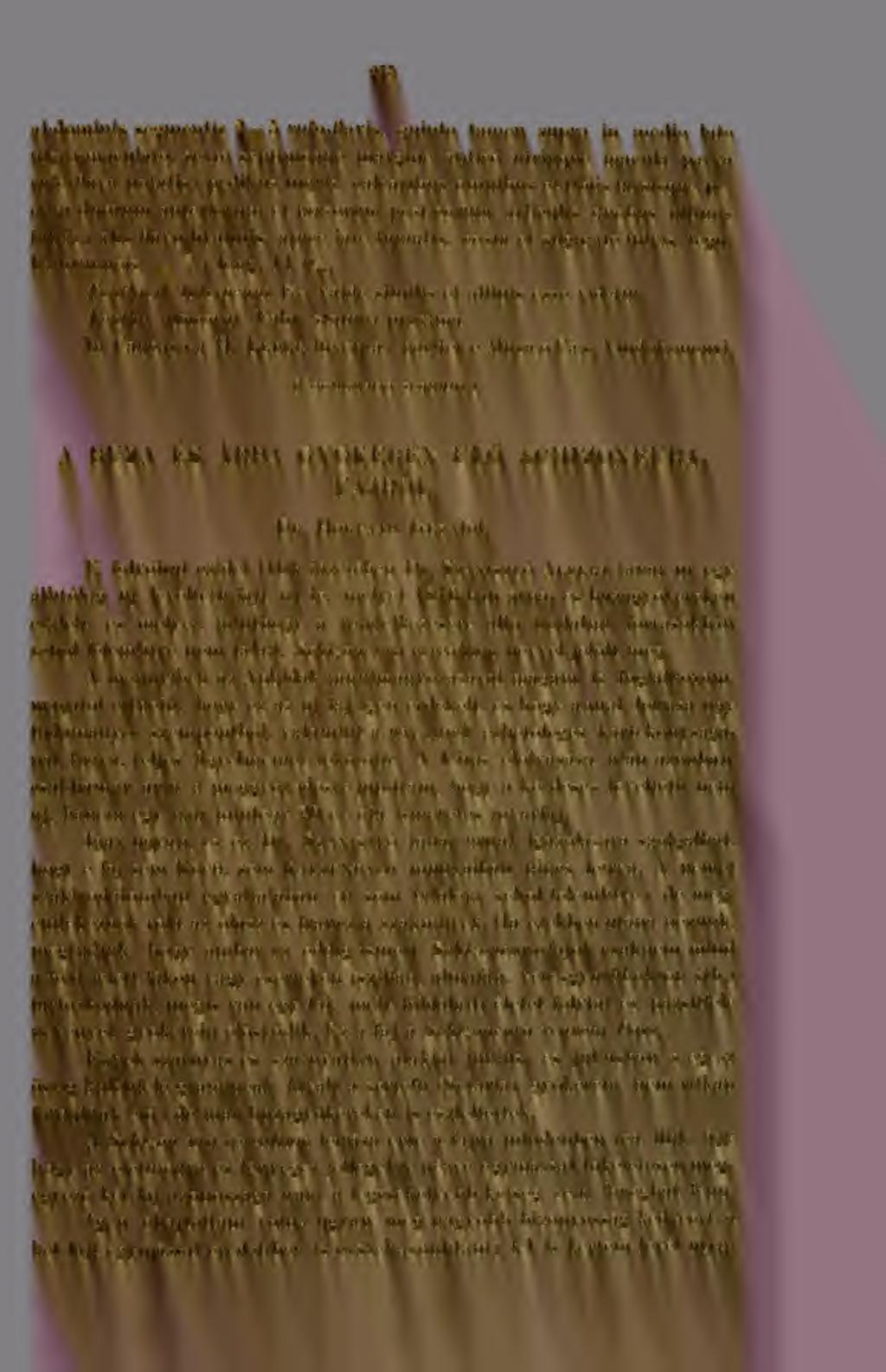275 ;il)dominis segmentis 5Î 5 rufo-flavis, qiiinto tainen suj^ra in nieclio late nigro-maculato, sexto septimoque margiiie antieo utrinqne macula parva rufo-flava notatis ; pedibiis nigris,