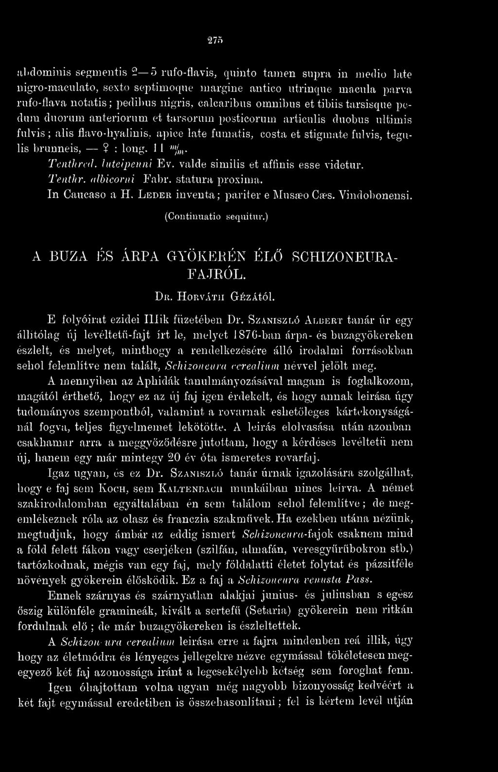 brunneis, Î ; long. 1 1 '"/»i- TcnÜifid. Inteipeuni Ev. valde similis et afiinis esse videtur, Tenthr. (ilbicorni Fabr. statura proxima. In Caucaso a H. Leder inventa; parit er e Musaeo Ca?s. Vindobonensi.