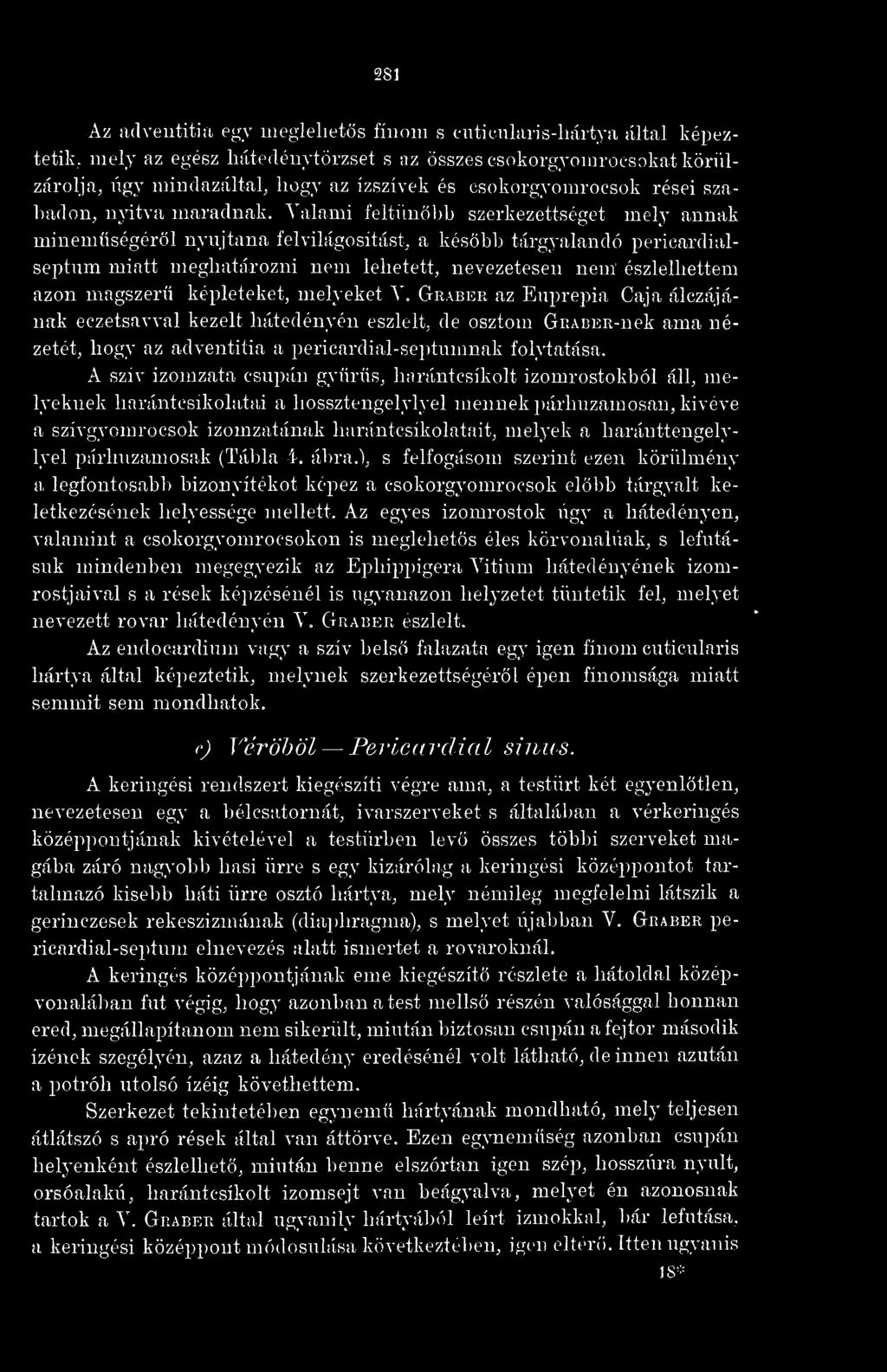 Valami feltiinöbh szerkezettséget mely annak minemségérl nyújtana felvilágosítást, a késbb tárgyalandó pericardialseptum miatt meghatározni nem lehetett, nevezetesen nem' észlelhettem azon magszerti