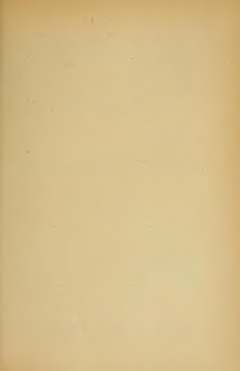 257 ban Schreiber Károly, a bécsi es. k.