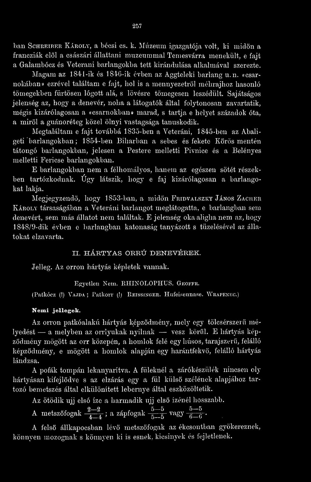 tartja e helyet századok óta, Megtaláltam e fajt továbbá 1835-ben a Veterani, 1845-ben az Abaligeti barlangokban; 1854-ben Biharban a sebes és fekete Körös mentén tátongó barlangokban, jelesen a