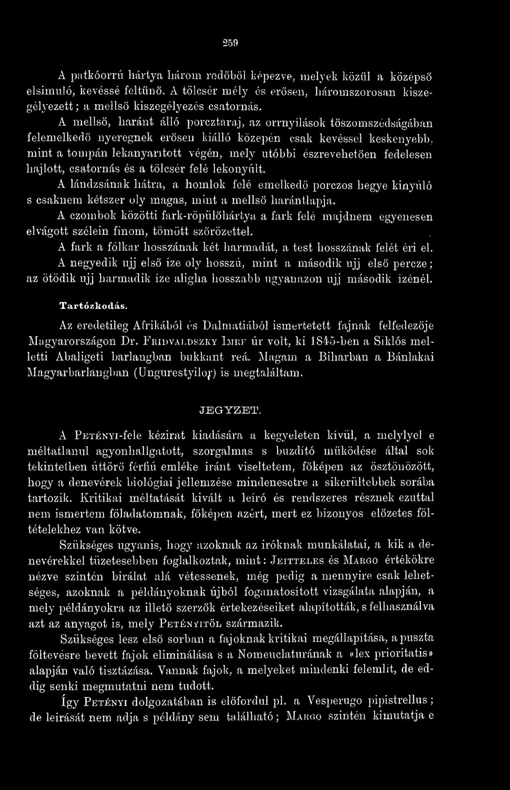 fedelesen hajlott, csatornás és a tölcsér felé lekonyult. A lándzsának hátra, a homlok felé emelked porczos hegye kinyúló s csaknem kétszer oly magas, mint a mells harántlapja.