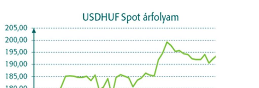 17 2. Az USDHUF árfolyam emelkedik Azonnali USDHUF árfolyam a futamidő elején: 172,28 Azonnali USDHUF árfolyam lejáratkor: 192,28 Határidős árfolyam: 177,03 Példa fizikai szállításra: Az ügyfél a