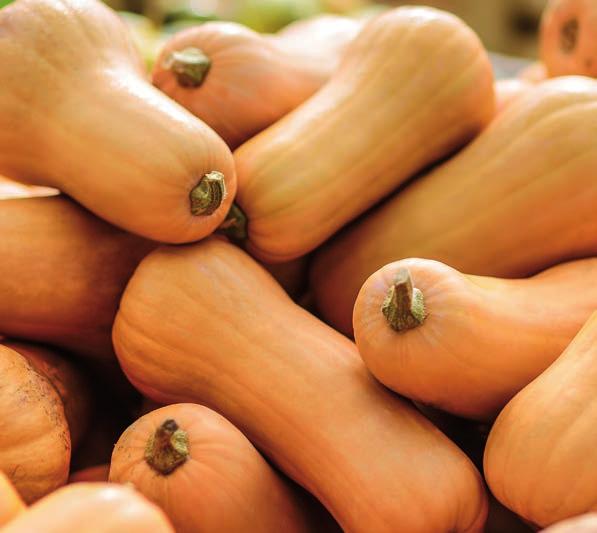 SZEPTEMBER 26.