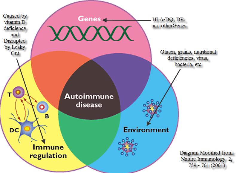 Autoimmun betegségek pathomechanizmusa - Megváltozott antigén, molekuláris mimikro,