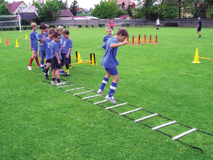 40 db-os tányérbója szett 5 cm magas.
