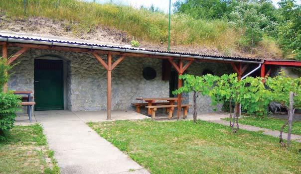 A területnek meghatározó arculatát adják a föld alatt kialakított pincesorok, melyek egybeolvadnak környezetükkel.