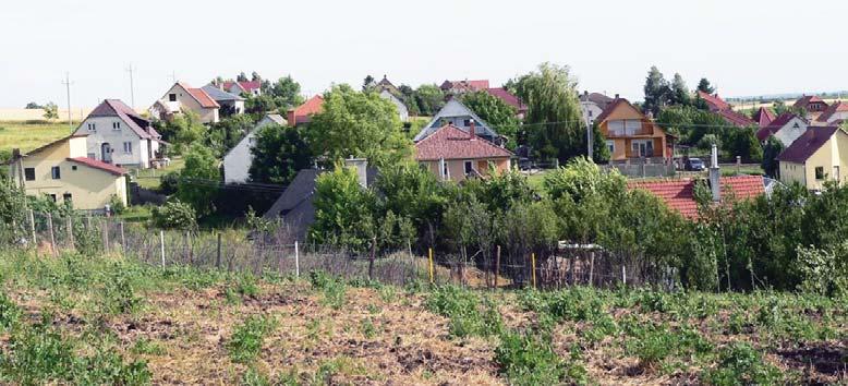 Az anyaghasználat itt már nem alkalmazkodik a hagyományokhoz. A diverzitás a felhasznált anyagokat, a kertek funkcióját, a tereprendezést és a növényhasználatot is jellemzi.