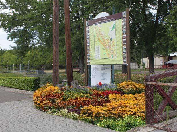 Elsősorban tömegben érvényesülnek, ezért a kisméretű széttagolt kiültetésekkel és virágládákkal, cserepes alkalmazással szemben előnyben kell