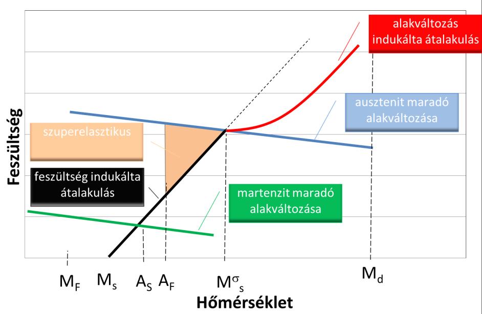 A TERMOMECHANIKUS KEZELÉS HATÁSA ALAKMEMÓRIA ÖTVÖZETBEN ÉS AUSZTENITES ACÉLBAN VÉGBEMENŐ MARTENZITES ÁTALAKULÁSRA d S T H T (4) Ahol σ- az egytengelyű feszültség, ε- az átalakulási alakváltozás, ΔS