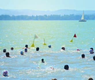 balatonátúszásra!