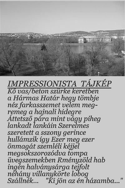 a botrány-szempillát összehúzza a szempillaspirál