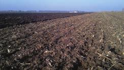 Established by Prof. B. Nádaskay, 1878 Crop Production NAGY JÁNOS főszerkesztő a Magyar Tudományos Akadémia doktora, Debreceni Egyetem prorektora, 108. évfolyam 2.