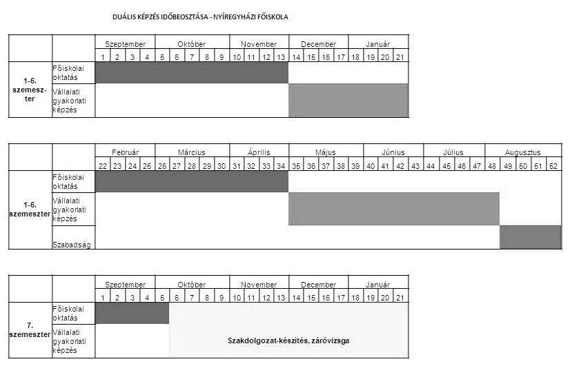 A duális képzés bevezetésének első tapasztalatai a Nyíregyházi Főiskolán 2. ábra. A duális képzés időbeosztása a Nyíregyházi Főiskolán A 2. ábra a duális képzés modelljét, időbeosztását mutatja be.
