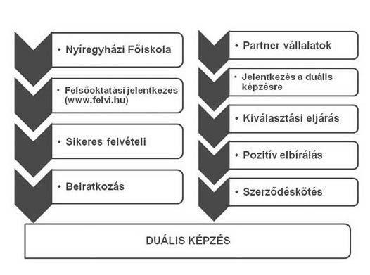 A duális képzés bevezetésének első tapasztalatai a Nyíregyházi Főiskolán tárgyként vagy a szakmai tárgyakhoz kapcsolódóan.