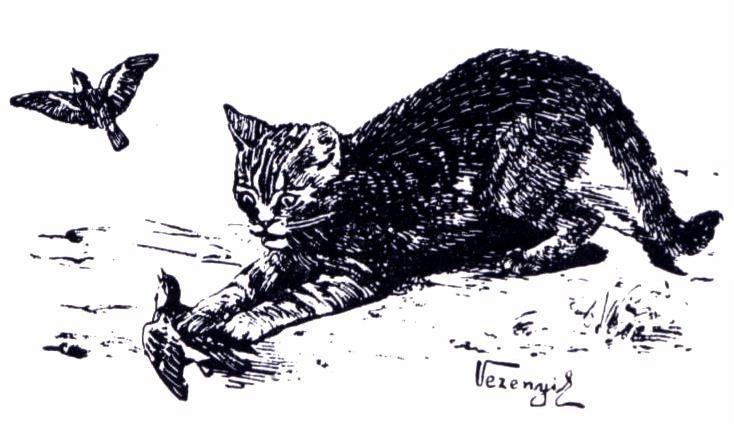 118 Egyetemi jegyzetek Lanszkiné Sz.G. 2014: Vadászati kultúra. Egyetemi jegyzet. Kaposvári Egyetem, Kaposvár. pp. 153. Lanszkiné Sz.G. 2014: 7. fejezet: A magyar természettudomány jeles személyei. p. 41-51.