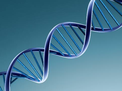 Lehetséges-e, hogy három generáció (60 év alatt) az emberiség genetikai,
