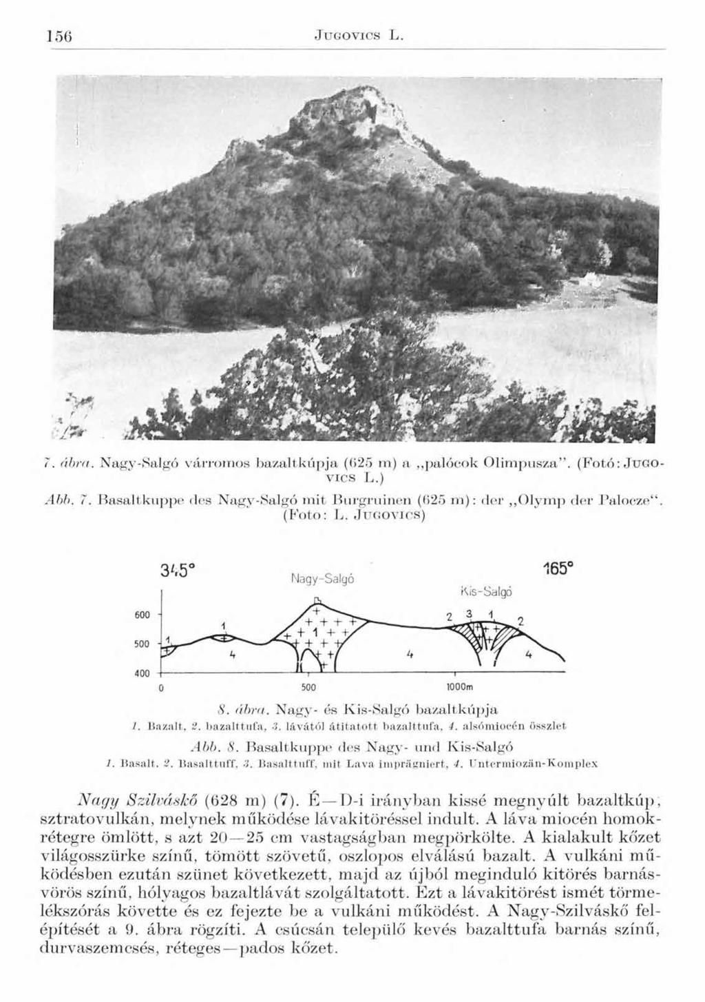 156 J u g o v i c s L. 7. ábra. Nagy-Salgó várromos bazaltkúpja (625 m) a,,palócok Olimposza. (Fotó: J u g o v i c s L.) Abb. 7. Basaltkuppe des Nagy-Salgó mit Burgruinen (625 m ): der Olymp der Palocze.