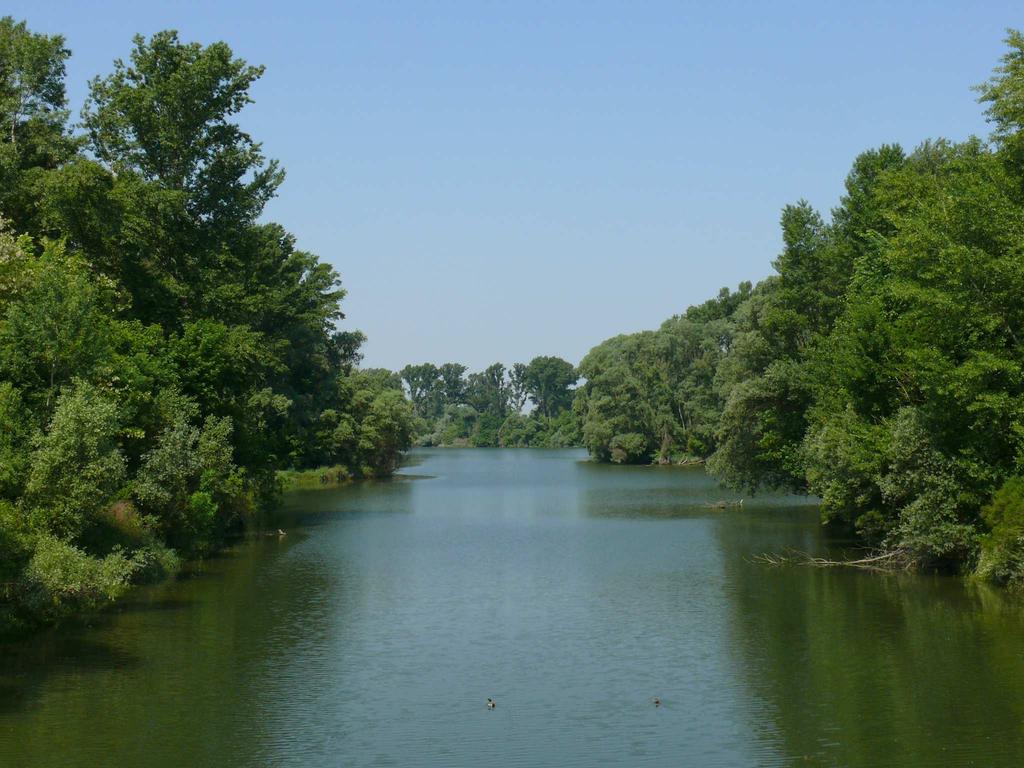 A Duna mintegy 50 kilométeren